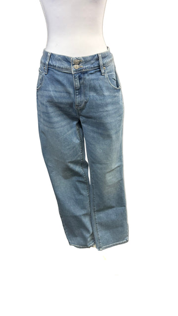 Hudson Los Angeles Straight Leg Jeans NWT, size 12, waist 32"