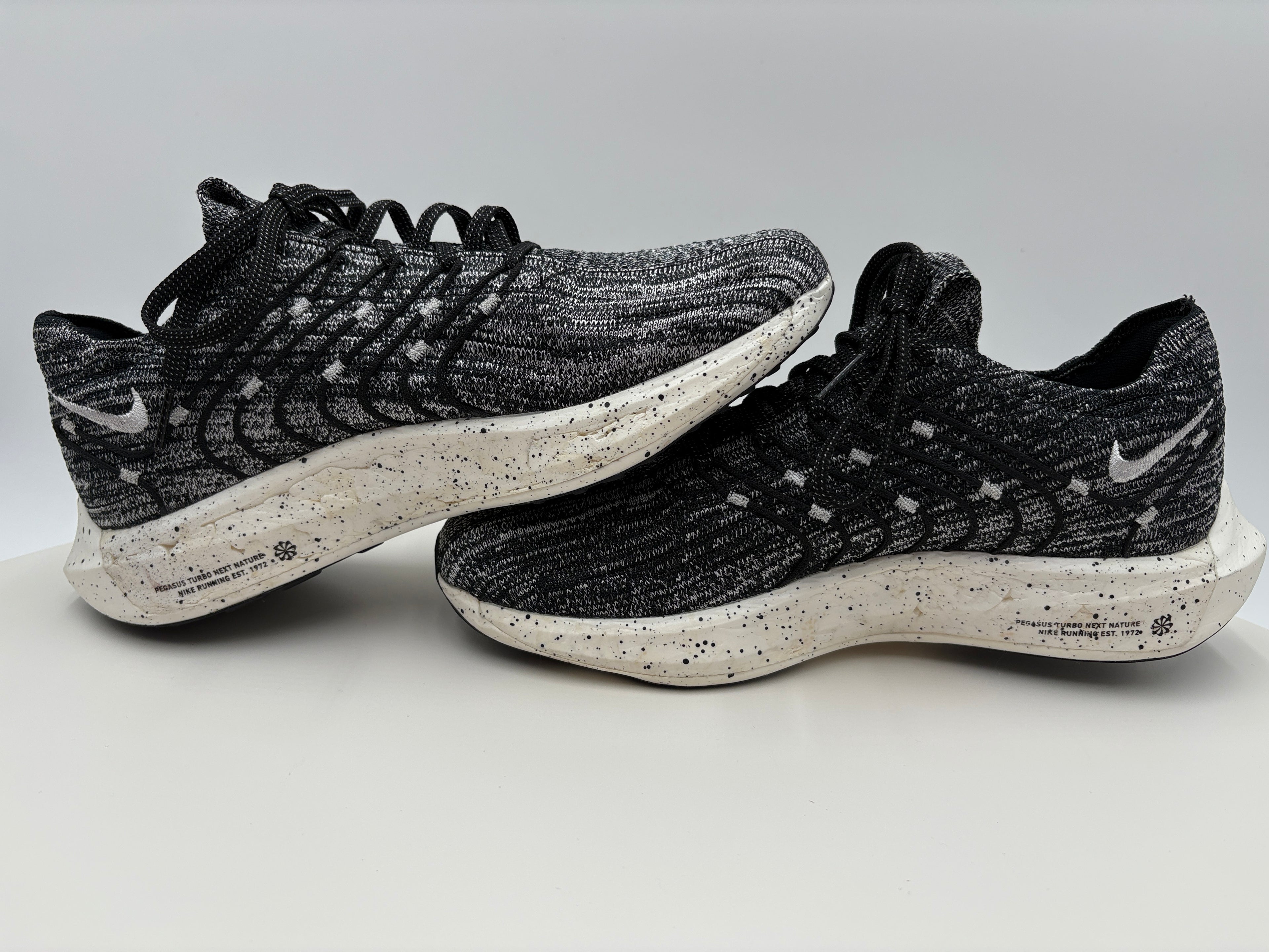 Nike Pegasus Turbo Flyknit