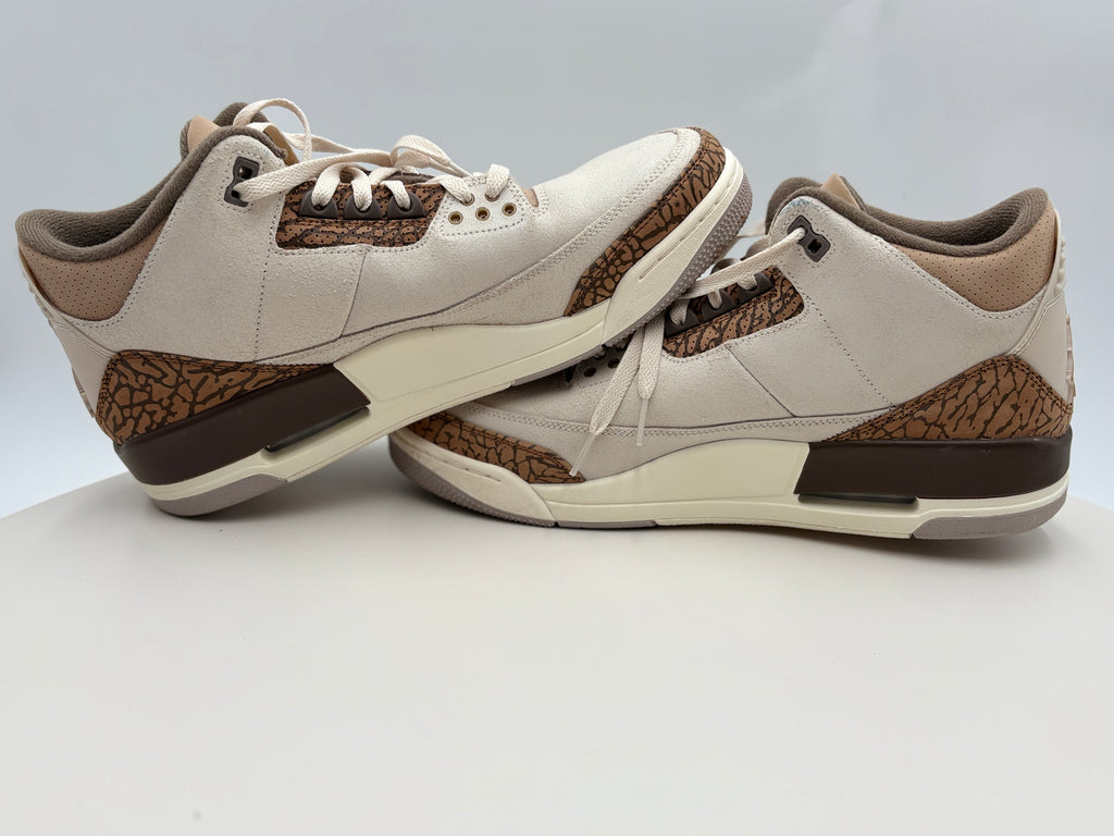 Nike Air Jordan 3 Retro Palomino (CT8532-102) Authenticated
