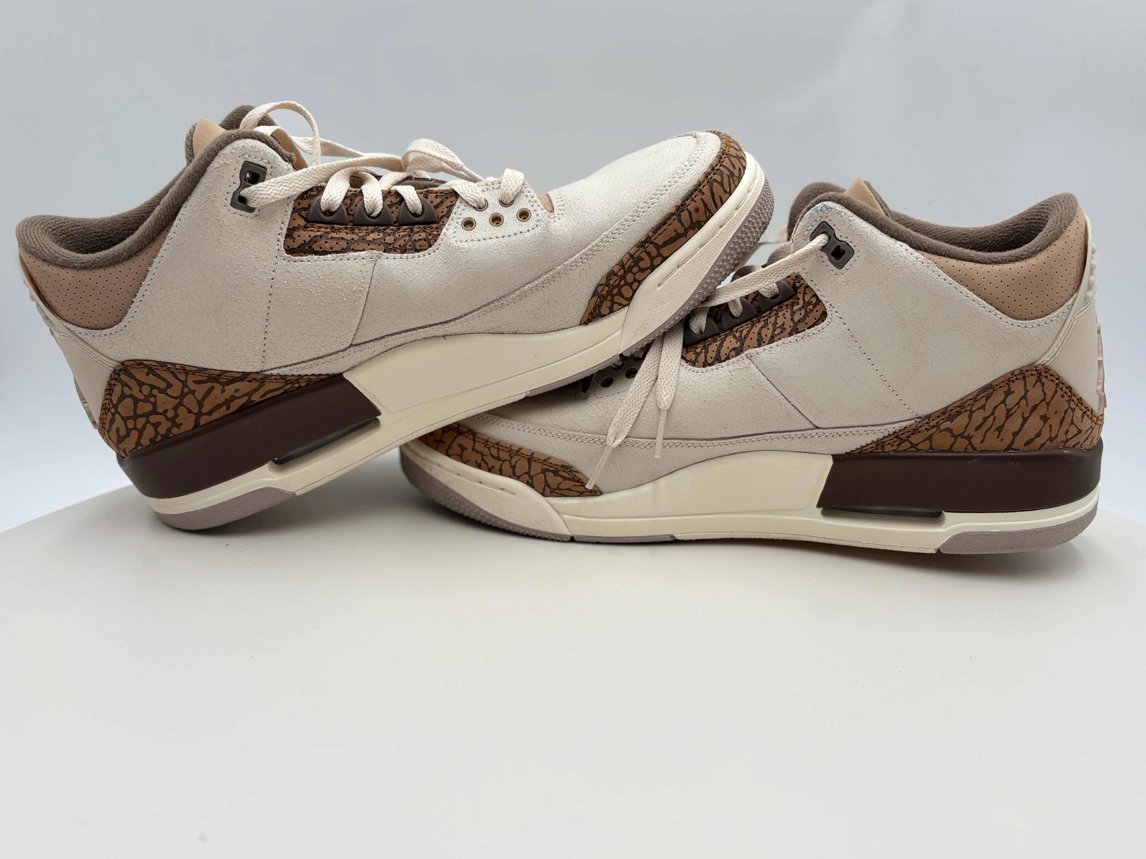 Nike Air Jordan 3 Retro Palomino (CT8532-102) Authenticated