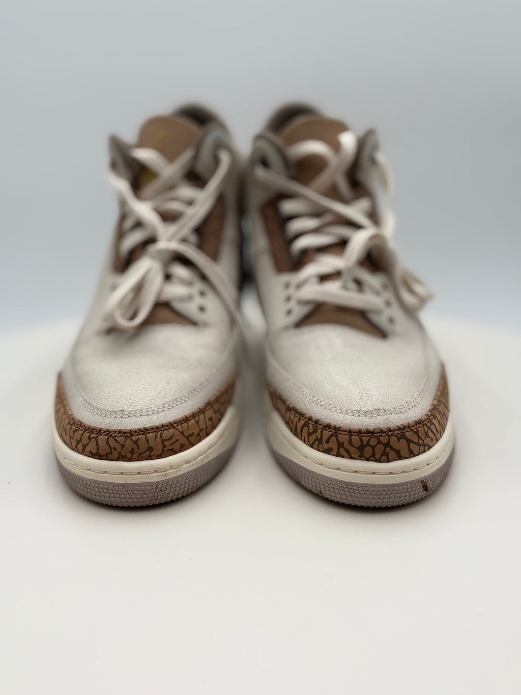 Nike Air Jordan 3 Retro Palomino (CT8532-102) Authenticated