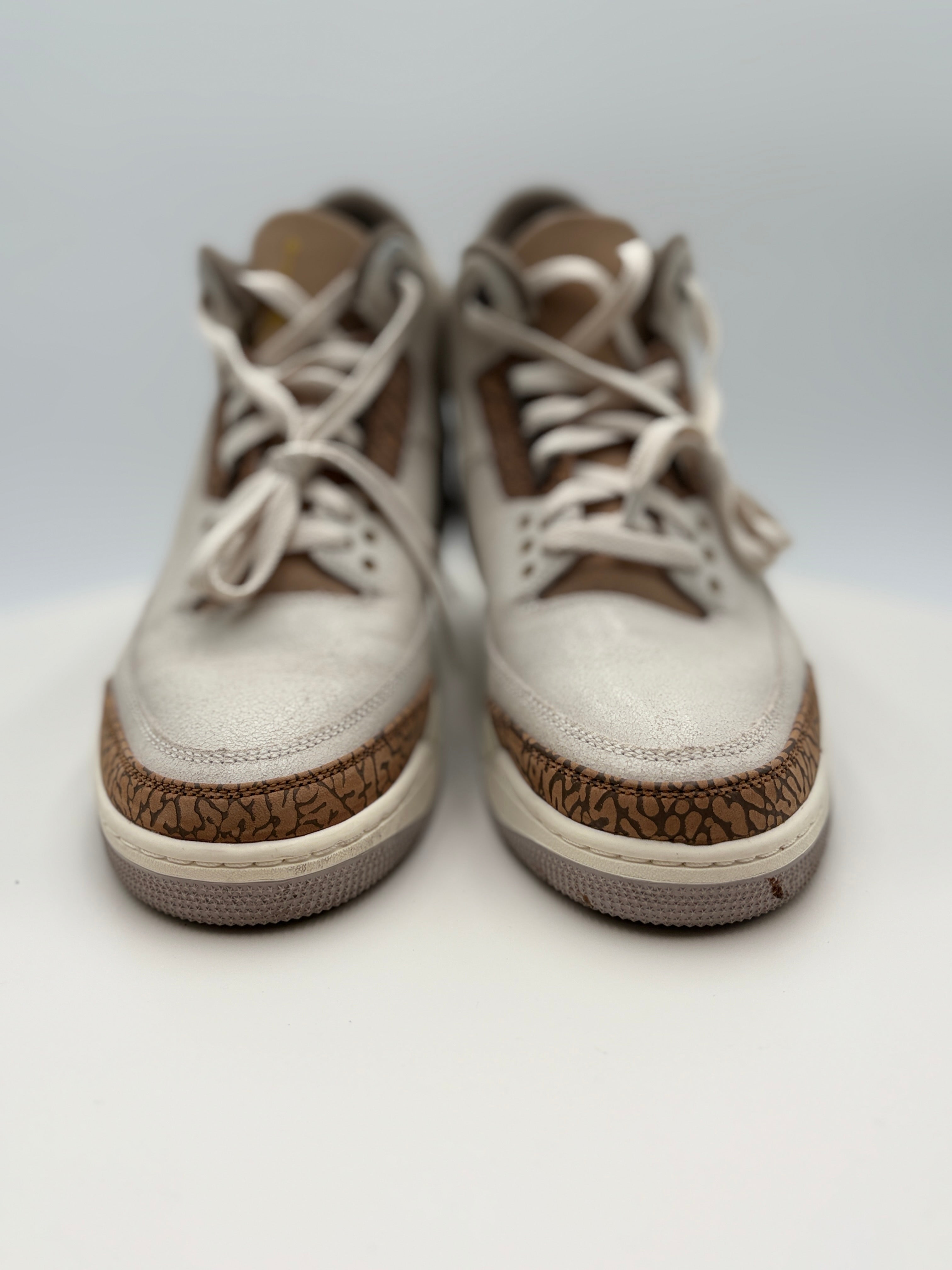 Nike Air Jordan 3 Retro Palomino (CT8532-102) Authenticated