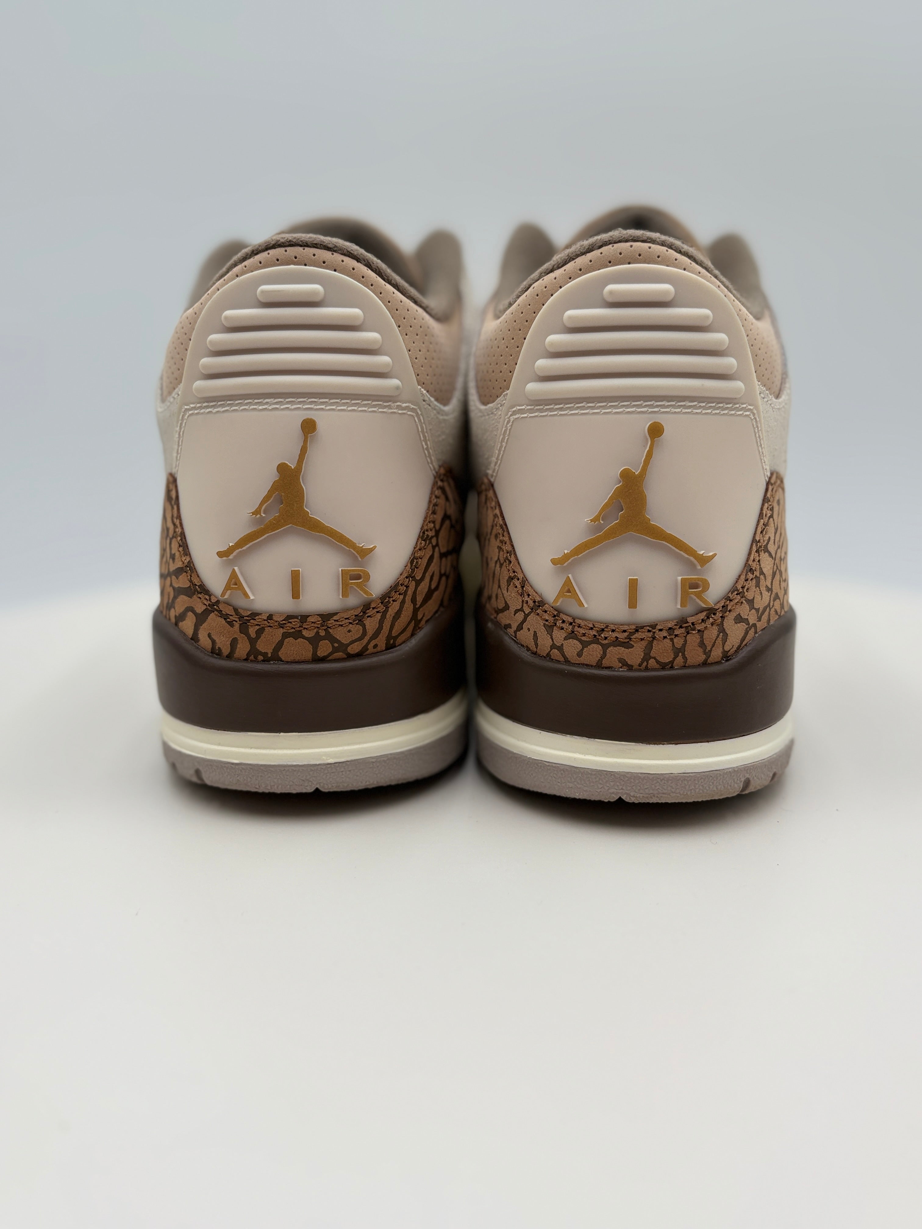 Nike Air Jordan 3 Retro Palomino (CT8532-102) Authenticated