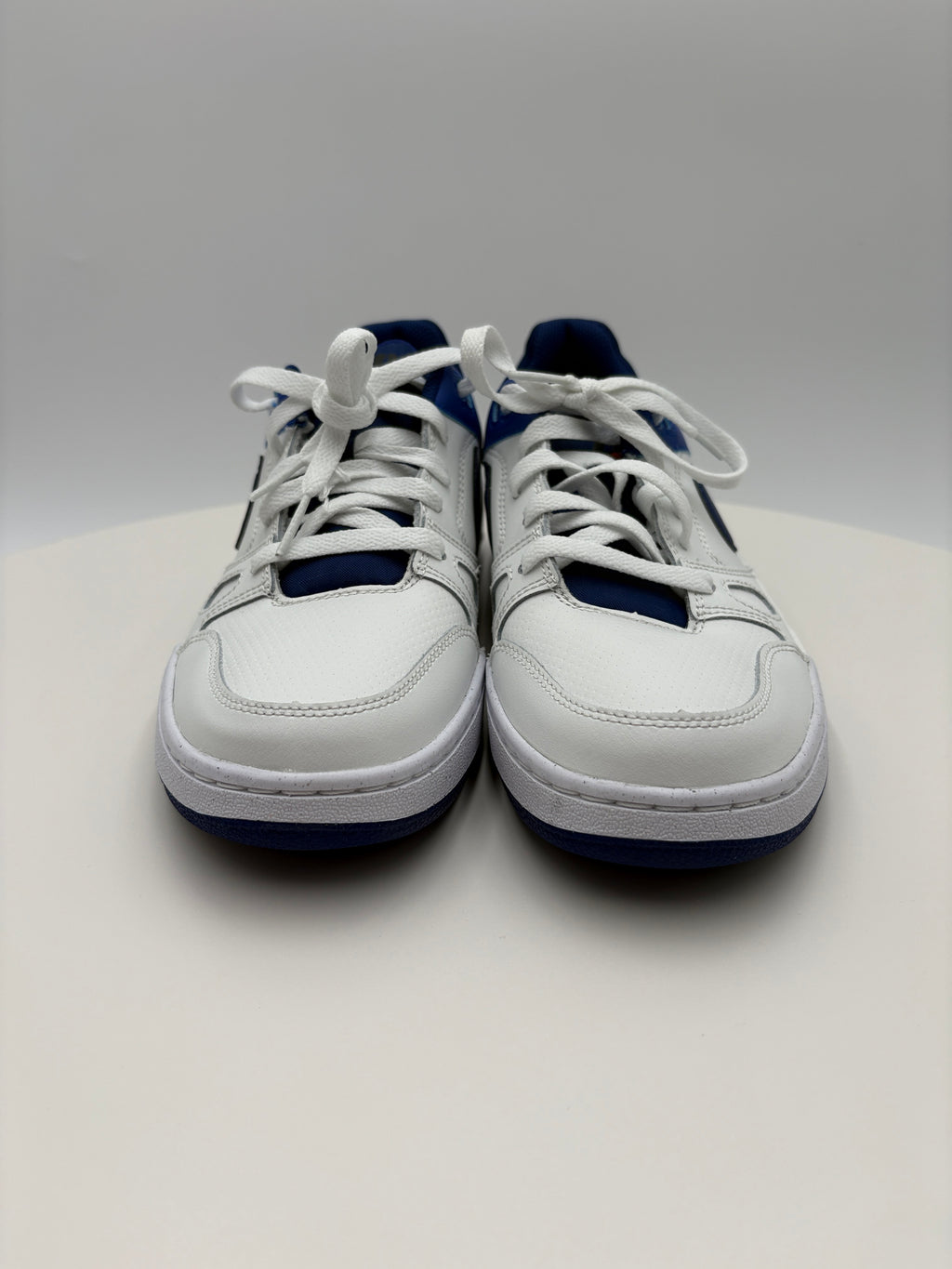 Nike Full Force Low, Lifestyle Blue