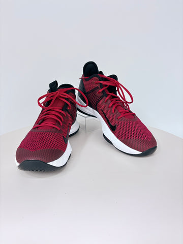Nike Lebron