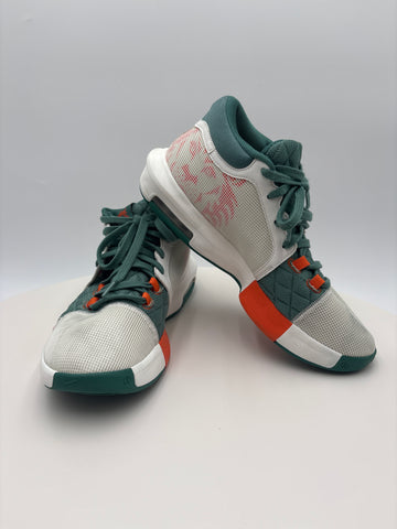 Nike Labron Witness 8 canon FB2239-101